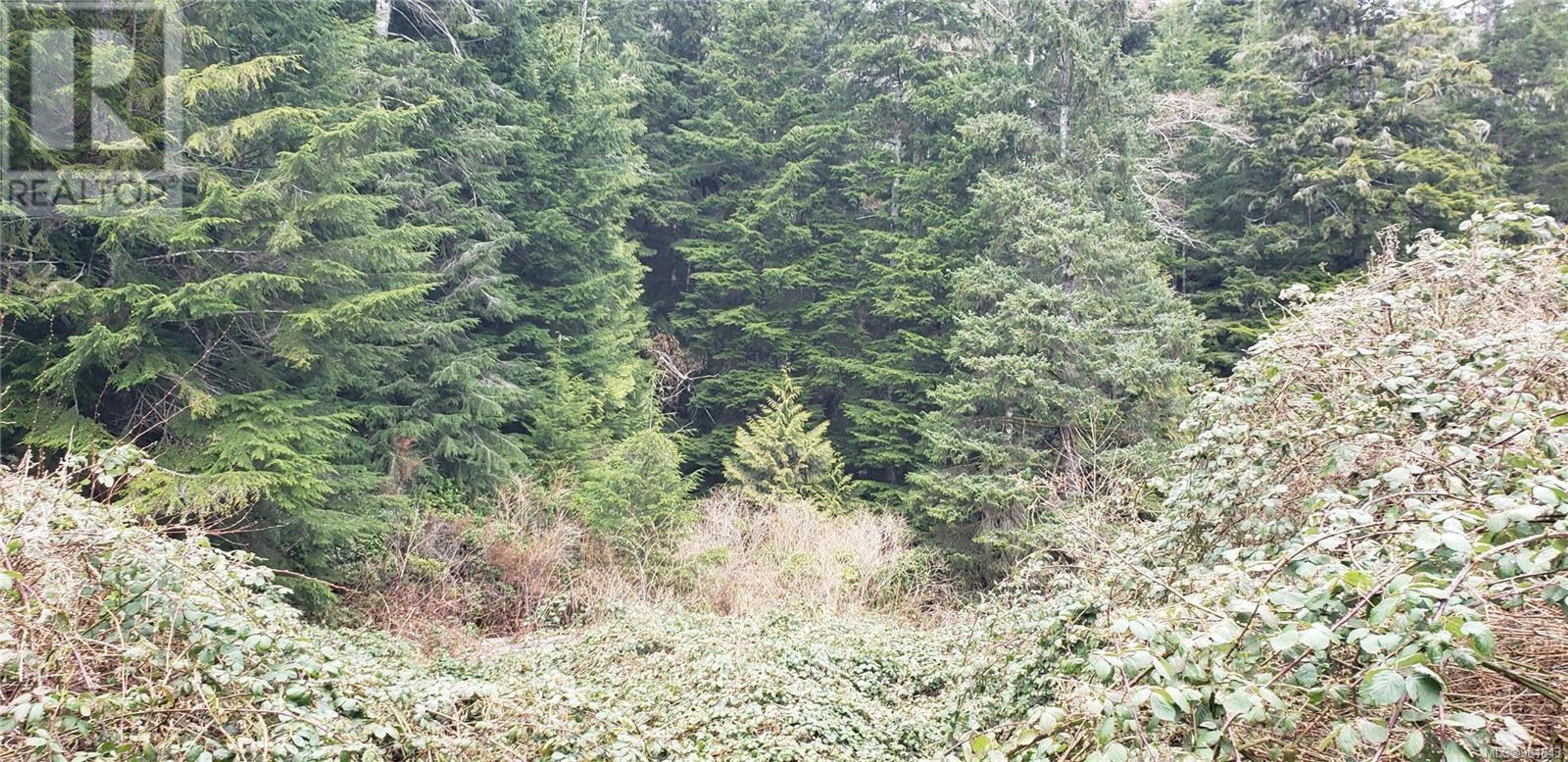 LOT 17 HAGGARD COVE - Image 1