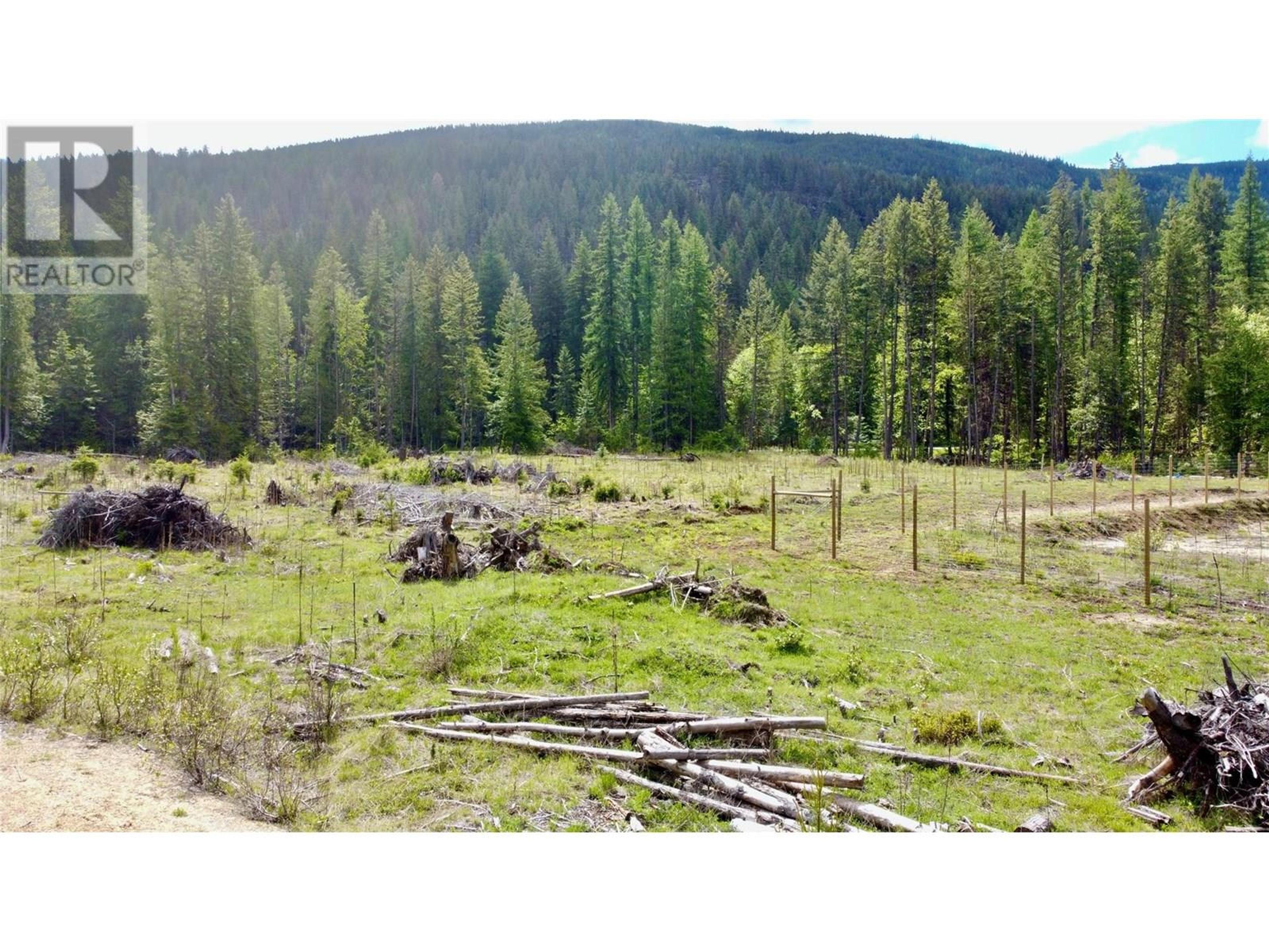 2707 PASS CREEK ROAD - Image 4