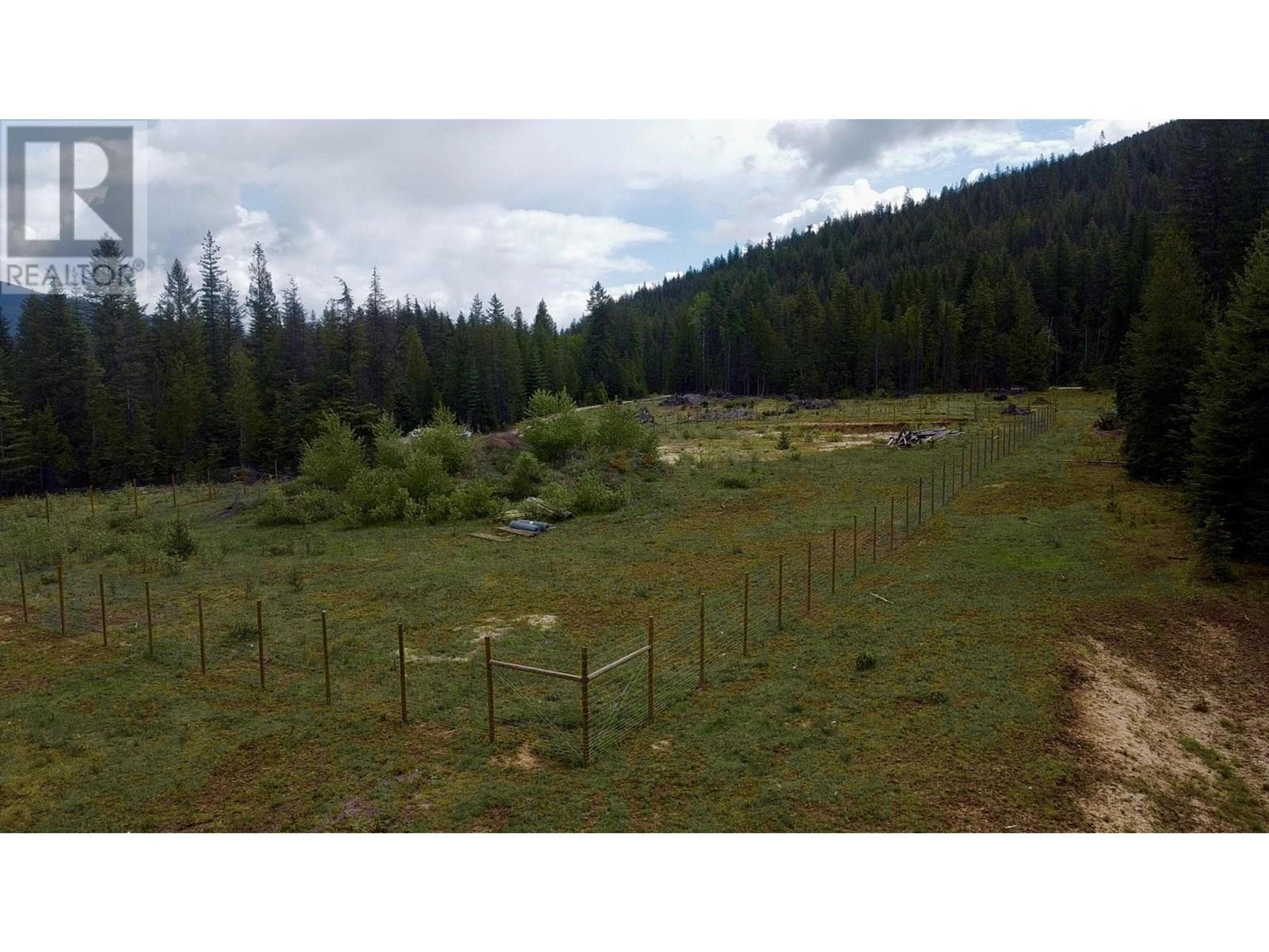 2707 PASS CREEK ROAD - Image 6