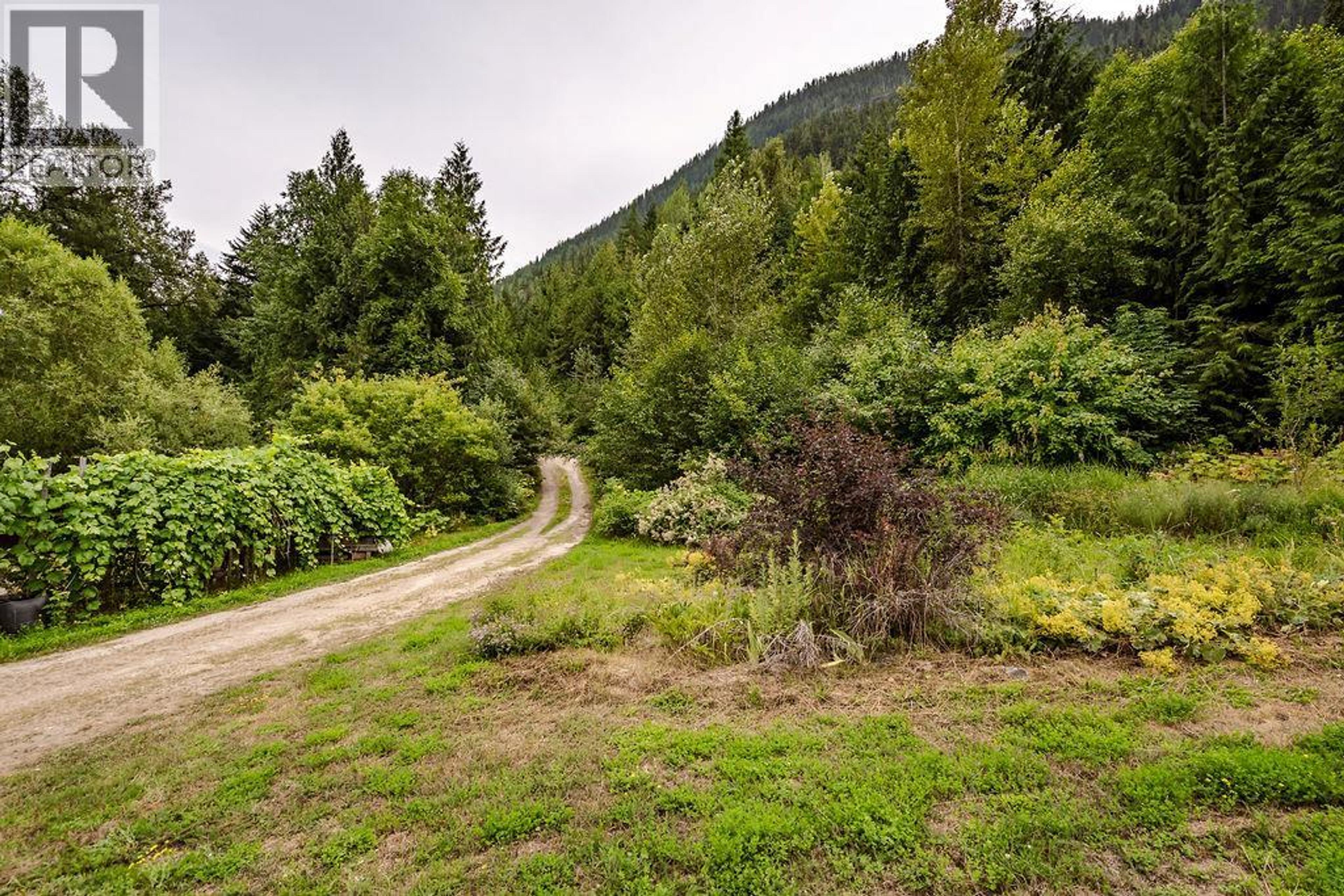 2987 SLOCAN VALLEY ROAD W ROAD - Image 44