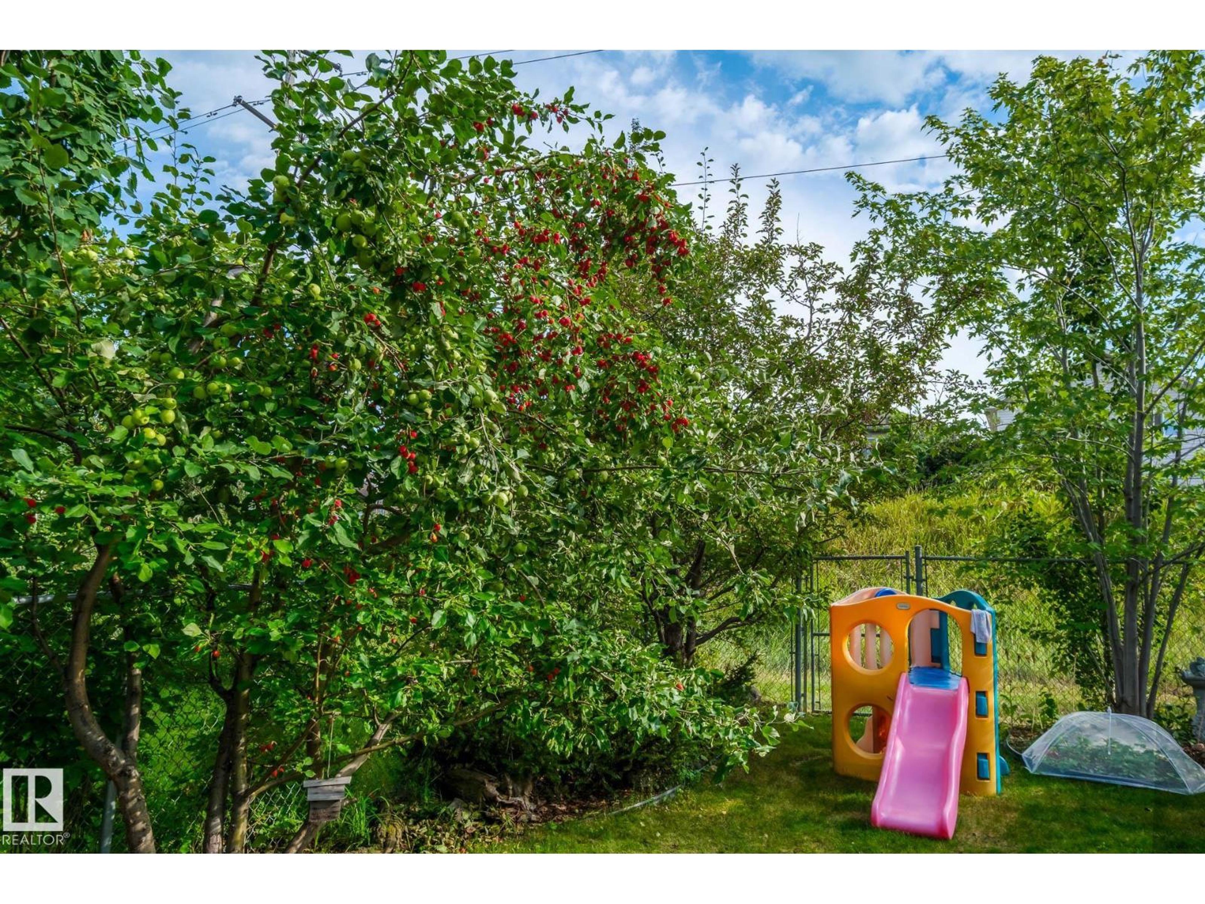 201 CORNWALL RD - Image 53