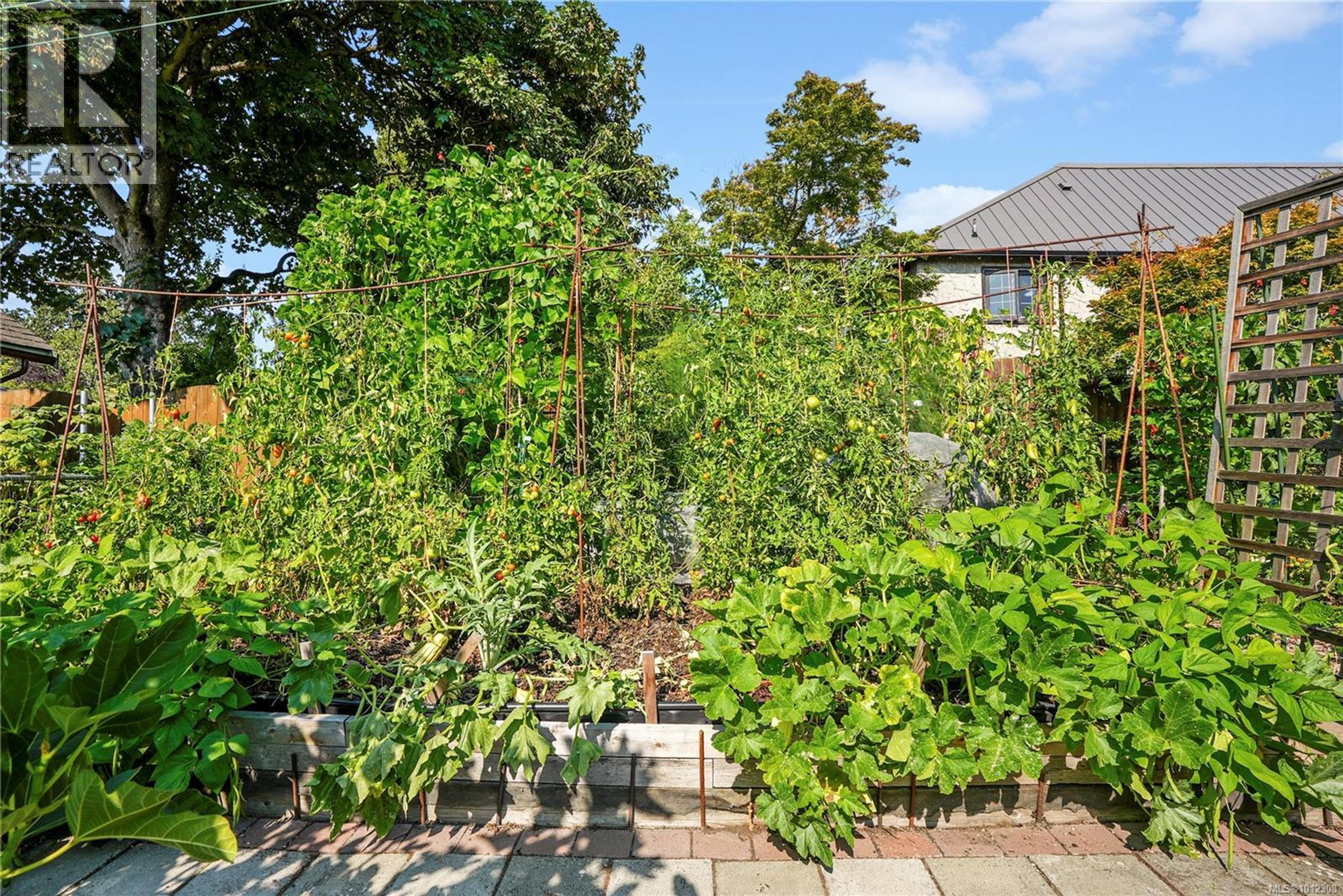 2808 WYNDEATT AVE - Image 26