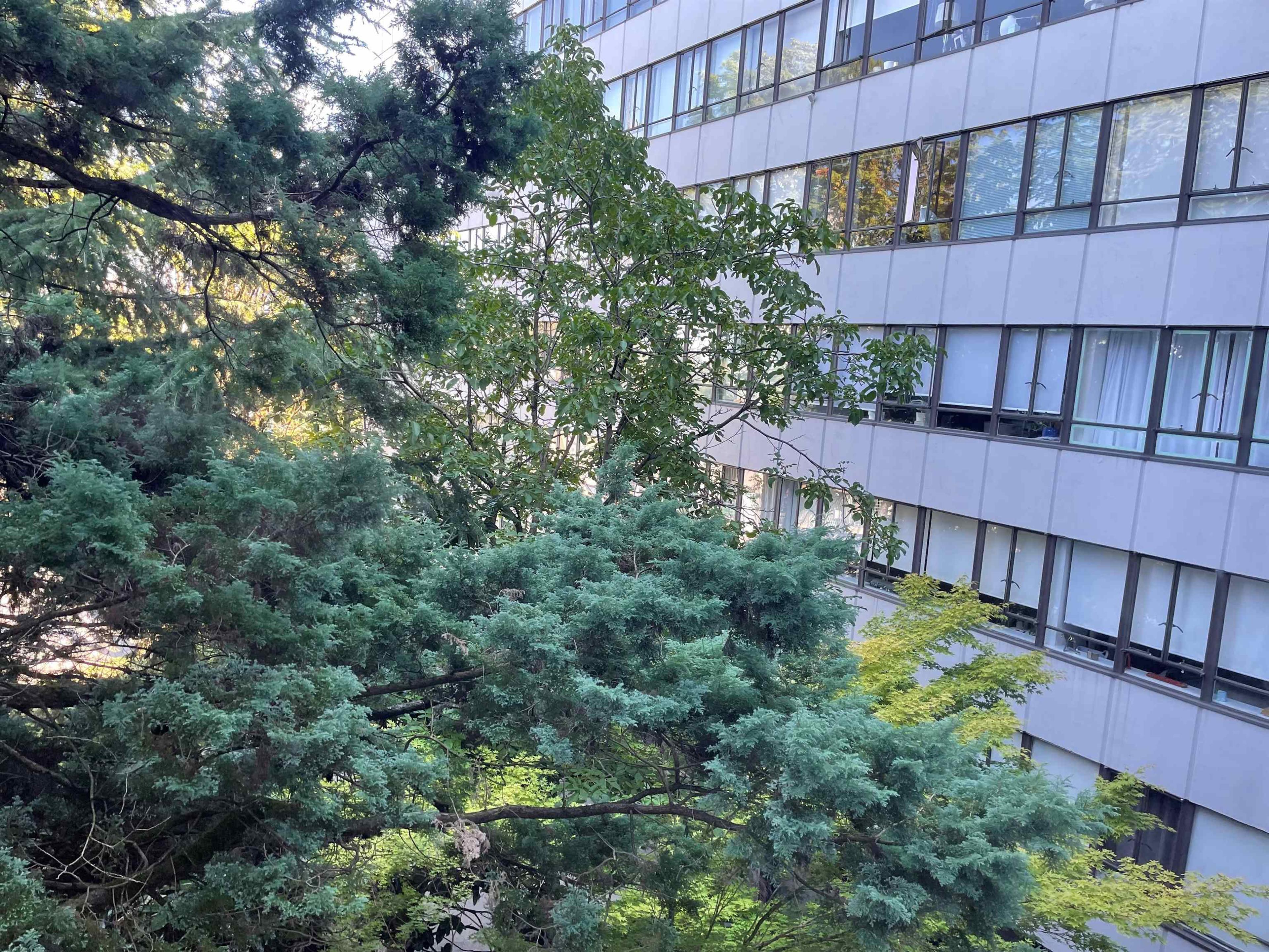#304 1445 MARPOLE AVENUE - Image 5