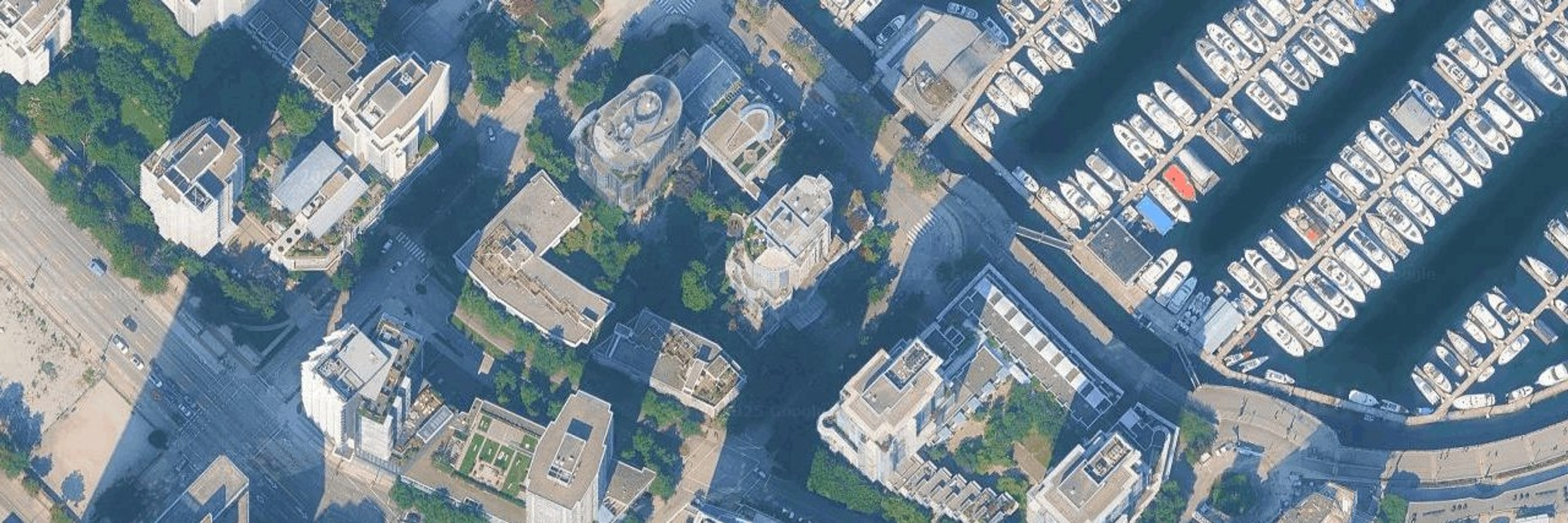 Bauhinia aerial view