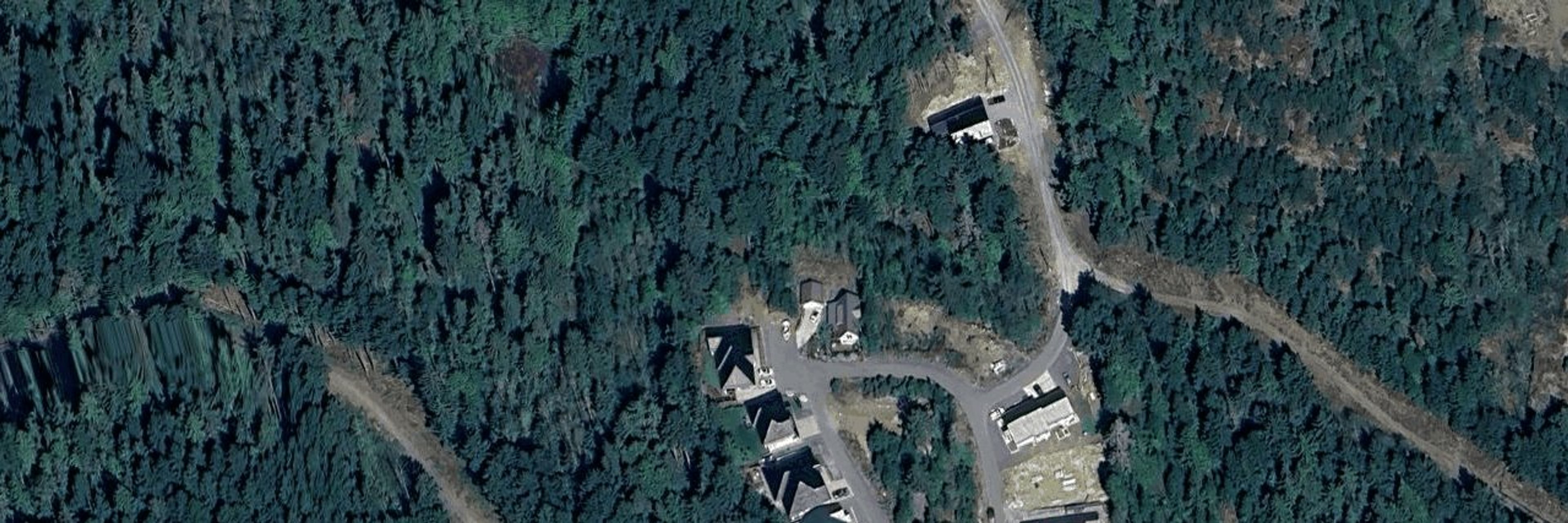 MALAHAT FOREST aerial view