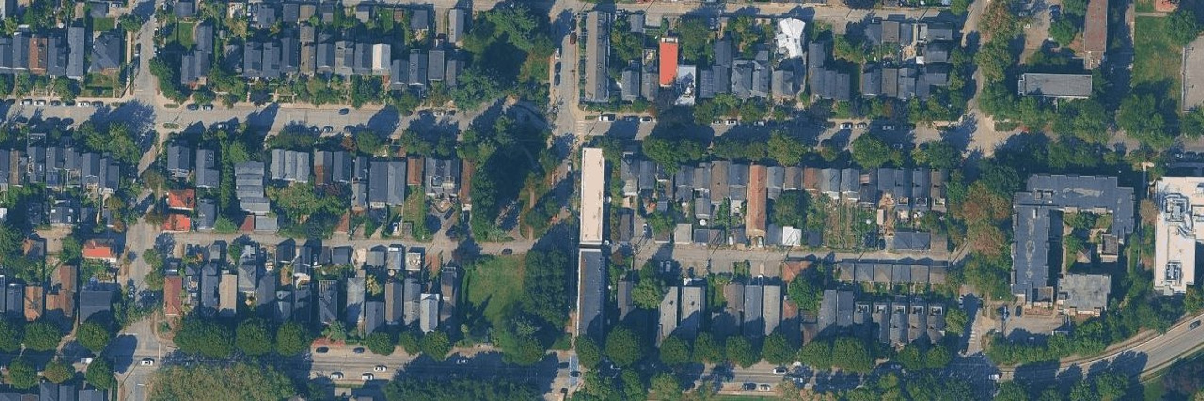 Hawks aerial view