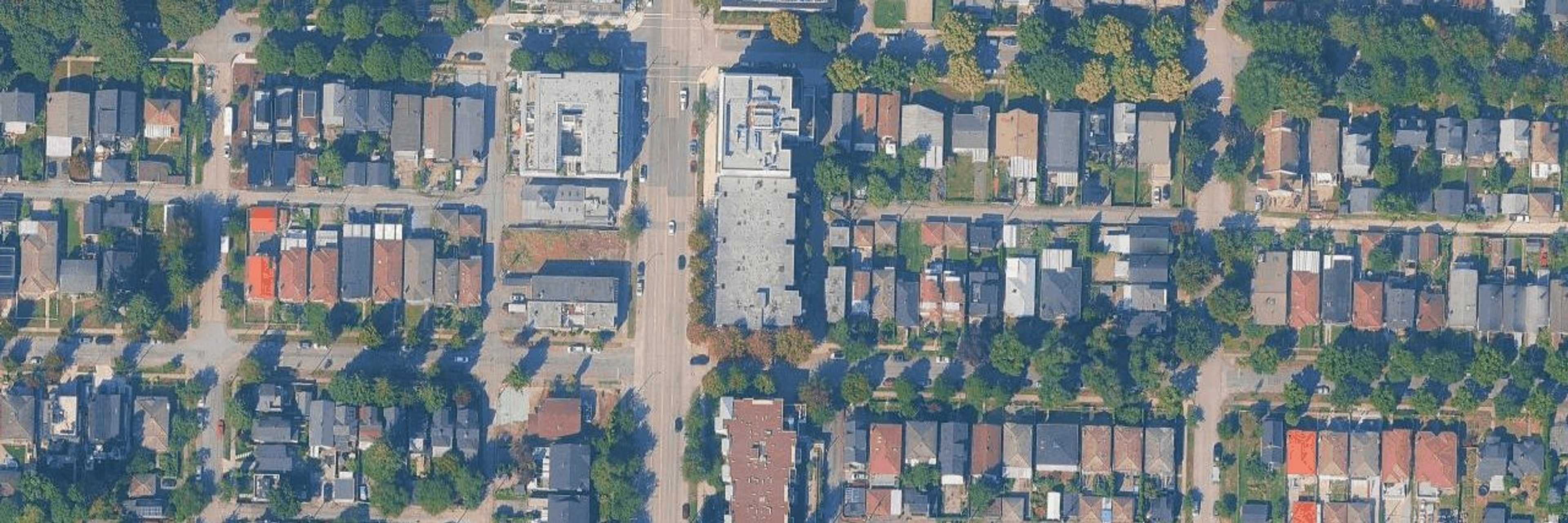 Blossom aerial view