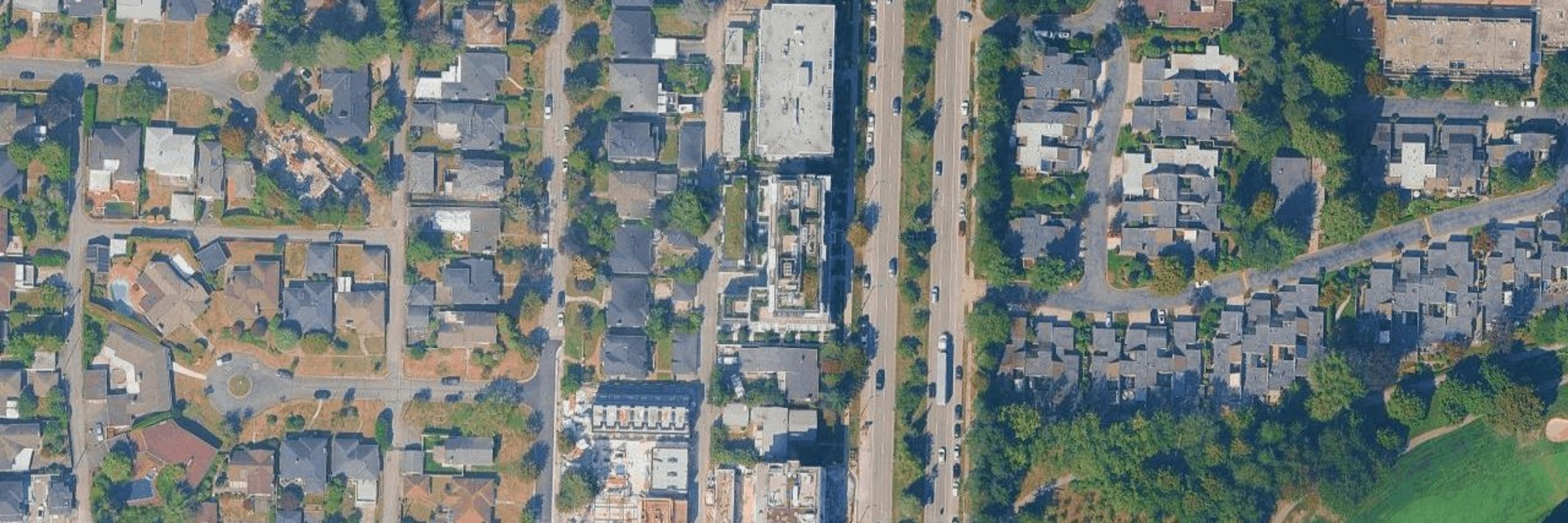 The Camellia aerial view