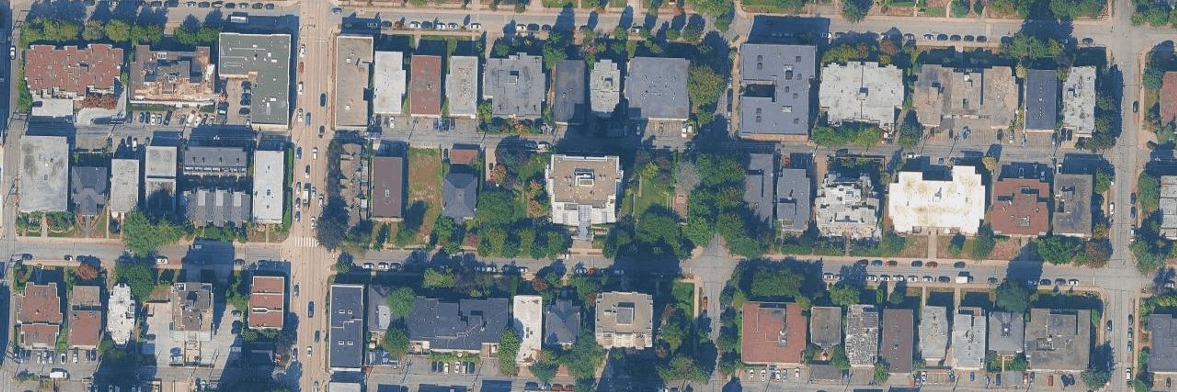 Sakura aerial view