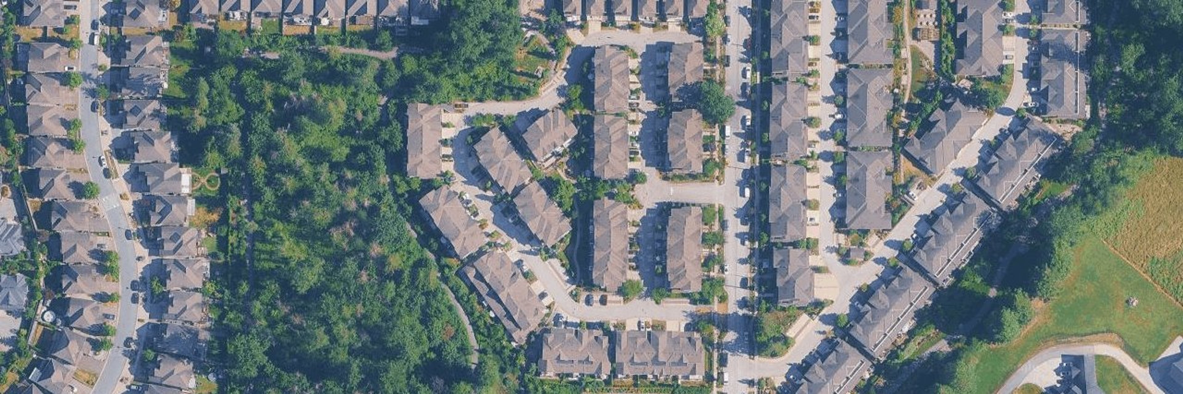 Alder aerial view