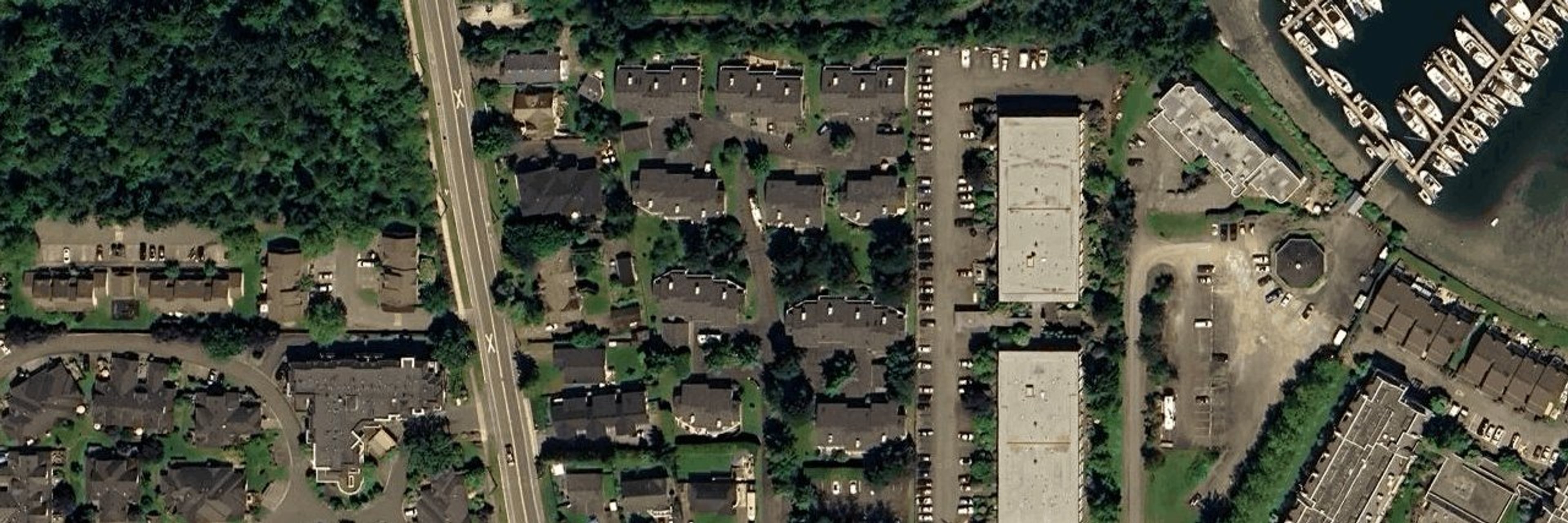 White Birch aerial view